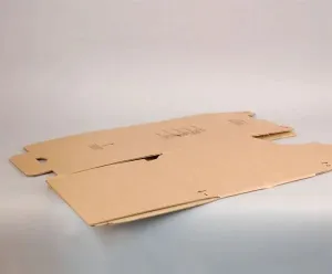 10 litre box (pack of 10)