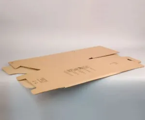 20 litre box (pack of 10)