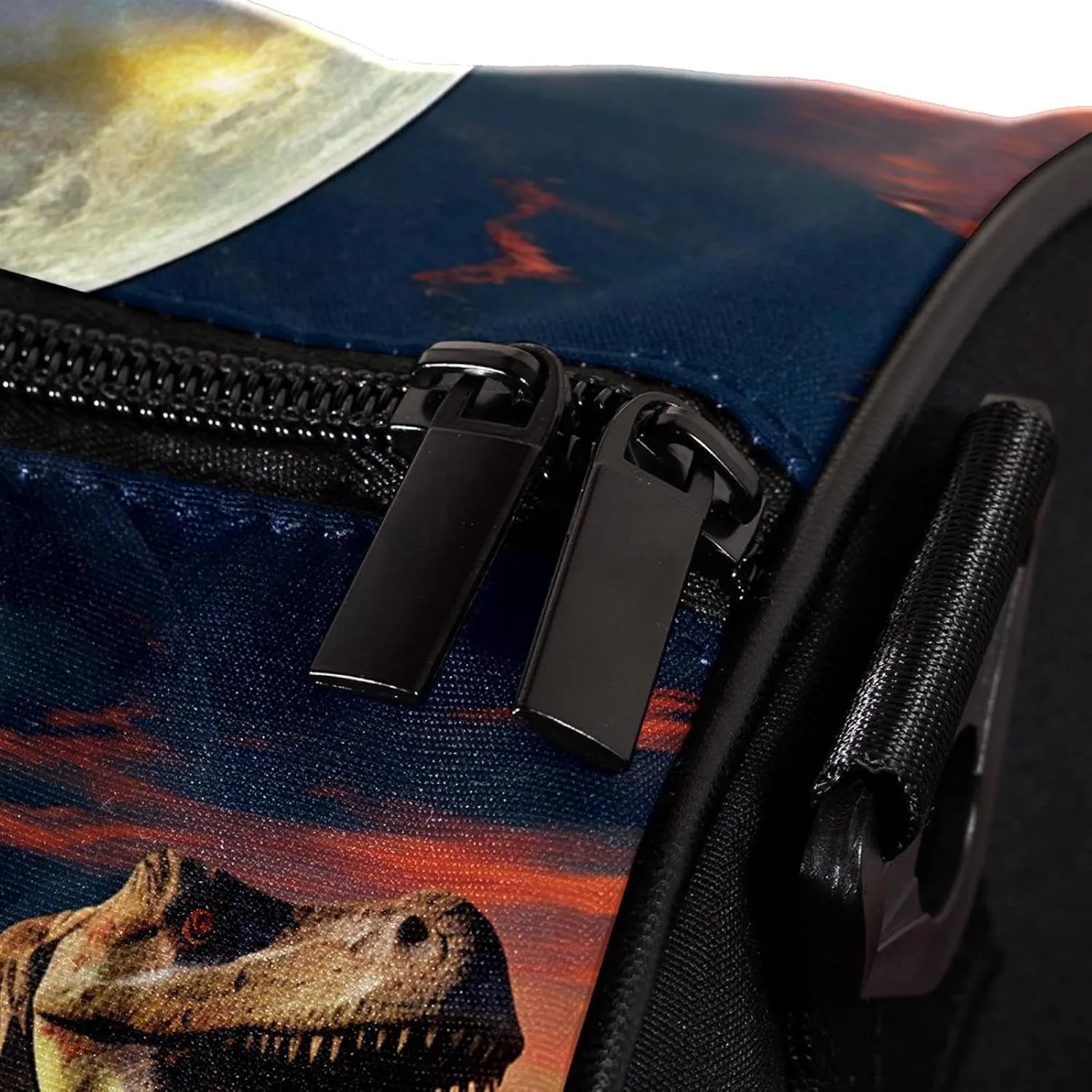 Gym Bags for Men,Travel Duffel Bags for Women,3D Style Ancient Dinosaur,Workout Bag